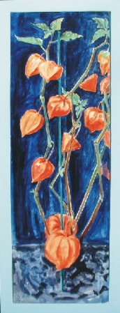 Physalis plant